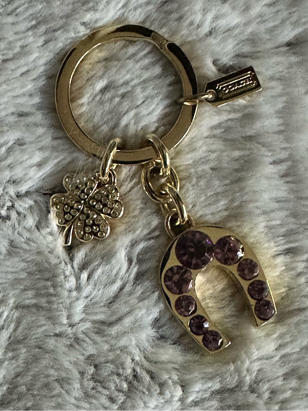 Coach Lucky Keychain - Picture 2 of 9
